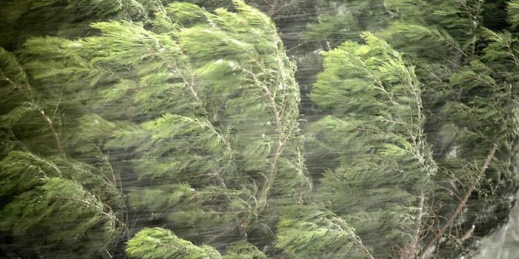 ,,ძლიერი წვიმა, ქარი, ელჭექი და ზღვაზე 4-5 ბალიანი შტორმი” – რომელ რიცხვში გაუარედება ამინდი?