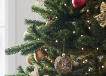 ნაძვის ხის დადგმის ,,ჯადოსნური“ თარიღები, რომ 2026 წელი იღბლიანი აღმოჩნდეს