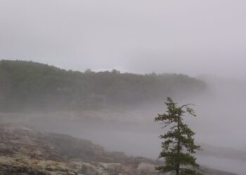 ამჯერად წინასწარ გაფრთხილებთ… – მეტეოროლოგი მოსალოდნელ ამინდზე