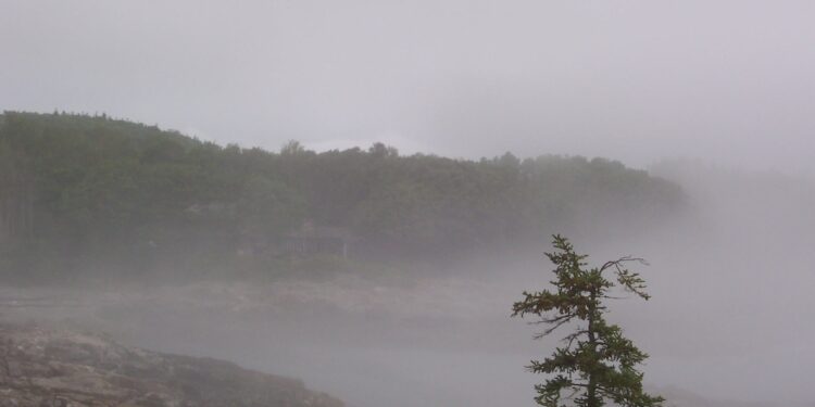 ამჯერად წინასწარ გაფრთხილებთ… – მეტეოროლოგი მოსალოდნელ ამინდზე