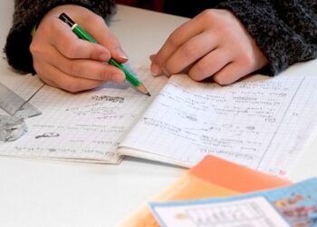 მოსწავლის საშინაო დავალება, რომელიც შოკში მყოფმა მასწავლებელმა მთელ ქვეყანას გაუზიარა და დიდი გამოხმაურებაც მიიღო