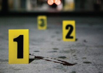 13 წლის გოგომ დედა თამაშში დაგეგმილი სცენარით მოკლა – აღძრულია სისხლის სამართლის საქმე