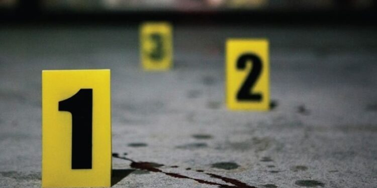 13 წლის გოგომ დედა თამაშში დაგეგმილი სცენარით მოკლა – აღძრულია სისხლის სამართლის საქმე