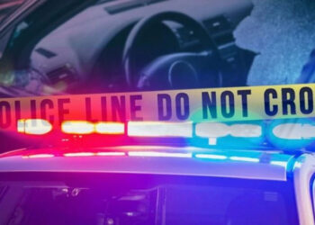 ლაგოდეხში ავარიას ქვეითად მოსიარულე ახალგაზრდა კაცი ემსხვერლა – ვერ წარმოიდგენთ ვინ აღმოჩნდა მძღოლი?