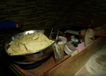 (VIDEO) ანტისანიტარია, ბუზები და ვადაგასული პროდუქტი – რა კადრები ვრცელდება კვების ობიექტებიდან, რომელთან ყოველდღიურად უამრავი ადამიანი სტუმრობს?