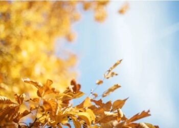 როდემდე გაგრძელდება მზიანი ამინდები? – სინოპტიკოსების პროგნოზი რეგიონების მიხედვით