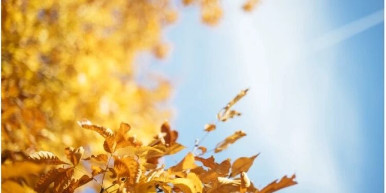 როდემდე გაგრძელდება მზიანი ამინდები? – სინოპტიკოსების პროგნოზი რეგიონების მიხედვით