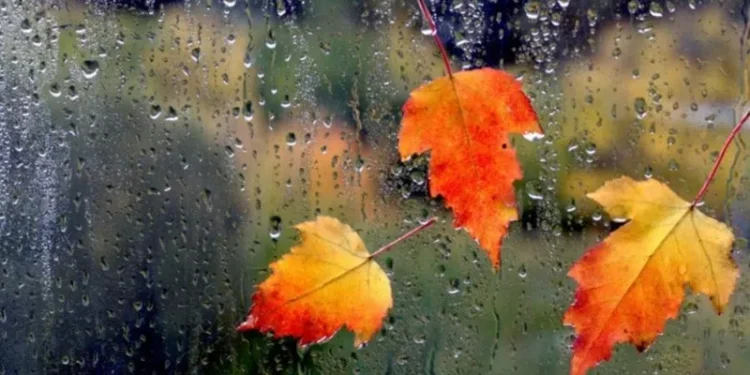 სად იწვიმებს? – უახლოესი დღეების ამინდის პროგნოზი