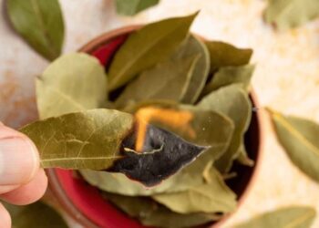 დაფნის ფურცლების დაწვის რიტუალი ფინანსების მოსაზიდად – მედიუმ ხოსე დეივ კორტეზის რჩევა