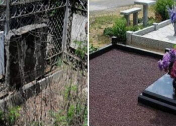 მამაკაცმა ბინა ლომბარდში ჩადო რათა სოფლიდან საკუთარი დედ-მამა და ბებია-ბაბუა თბილისში იმის გამო გადმოესვენებინა რომ.. – მიზეზი გაგაოგნებთ..