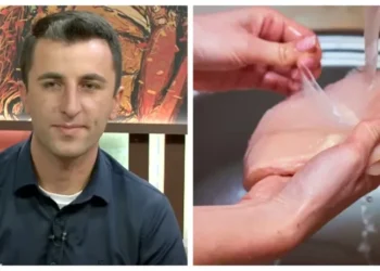 ,,ფილესაც, გაყინულ ქათამსაც და სოფლის ქათამსაც შეიძლება ჰყავდეს ბაქტერიები, რეცხვა ამას ვერ შველის, ხოლო თუ დაბინძურებულია…” – სურსათის უვნებლობის სპეციალისტი