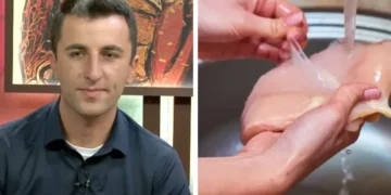 ,,ფილესაც, გაყინულ ქათამსაც და სოფლის ქათამსაც შეიძლება ჰყავდეს ბაქტერიები, რეცხვა ამას ვერ შველის, ხოლო თუ დაბინძურებულია…” – სურსათის უვნებლობის სპეციალისტი