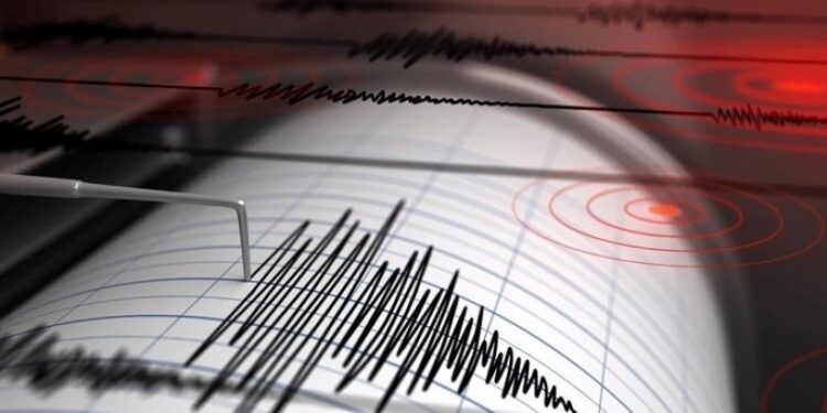 საქართველოში მიწისძვრა მოხდა – სად იყო ეპიცენტრი