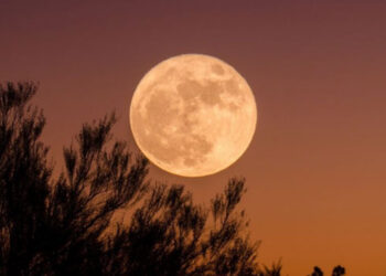 5 ნოემბერს წლის ყველაზე დიდი სუპერმთვარეა – რა უნდა გააკეთოთ იმისათვის, რომ სირთულეები თავიდან აირიდოთ