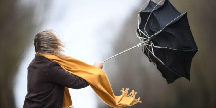 ,,იქროლებს ძლიერი ქარი“ – სად როგორი ამინდი იქნება 7 ნოემბრამდე?