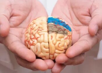 გამოვლინდა ასაკი, რომლის შემდეგაც იწყება ტვინის დაბერება