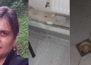 „ვიცი, რომ ამის მოსმენა სასტიკია, მაგრამ ჯობია, ახლა შეგეშინდეთ და გაიქცეთ მანდედან, ვიდრე მერე დაიშინოთ ხელები თავში”