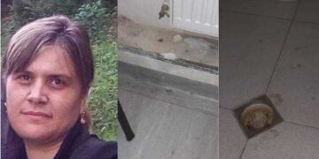 „ვიცი, რომ ამის მოსმენა სასტიკია, მაგრამ ჯობია, ახლა შეგეშინდეთ და გაიქცეთ მანდედან, ვიდრე მერე დაიშინოთ ხელები თავში”