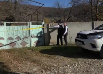 87 წლის ქალს კასტეტით და ბლაგვი საგნებით სცემეს – ცნობილი ხდება სასტიკი დანაშაულის დეტალები