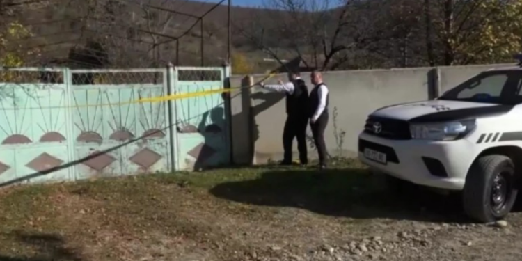 87 წლის ქალს კასტეტით და ბლაგვი საგნებით სცემეს – ცნობილი ხდება სასტიკი დანაშაულის დეტალები