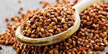 წიწიბურას 7 სასარგებლო თვისება, რომლის შესახებაც აქამდე არ იცოდით – მარცვლეული კი არა ოქროა!