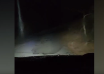 ,,ნელა ბიჭო, მთვრალი ხარ გიჟივით, მთავარია პატრული არ შეგხვდეს” – ვრცელდება შოკისმომგვრელი კადრები