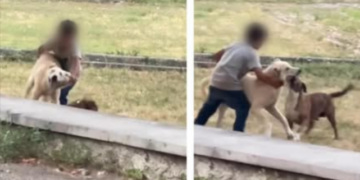 (VIDEO) მოძალადეა ეს ბავშვი, უყურეთ რას აკეთებს ხალხნო! მერამდენედ დავინახე ეს სიტუაცია” – ვრცელდება შოკისმომგვრელი კადრები