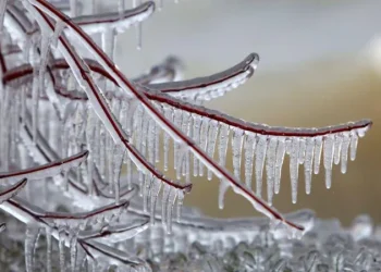 ,,ტემპერატურა -11°-მდე დაეცემა!“ – განახლებული ამინდის პროგნოზი