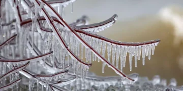 ,,ტემპერატურა -11°-მდე დაეცემა!“ – განახლებული ამინდის პროგნოზი