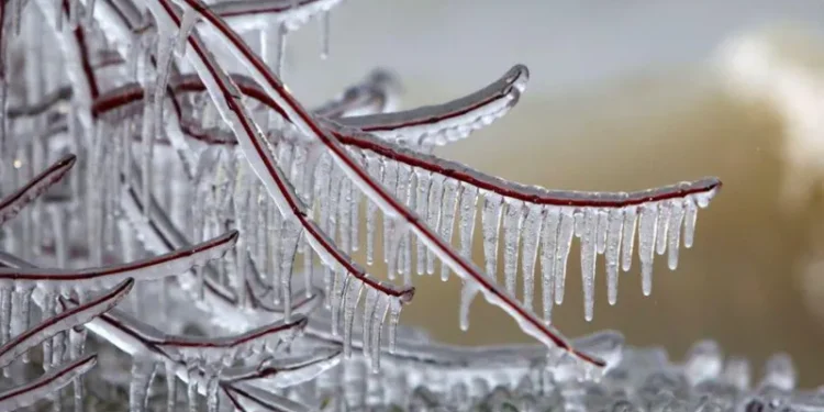 ,,ტემპერატურა -11°-მდე დაეცემა!“ – განახლებული ამინდის პროგნოზი