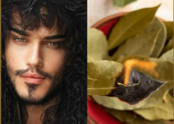 მედიუმ ხოსე დეივ კორტეზის რჩევა ფინანსების მოსაზიდად