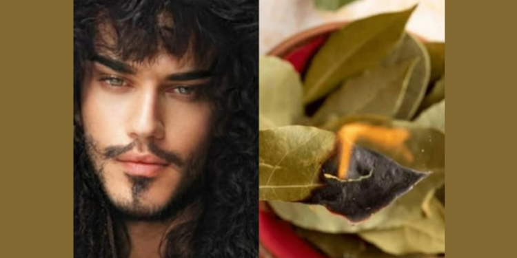 მედიუმ ხოსე დეივ კორტეზის რჩევა ფინანსების მოსაზიდად