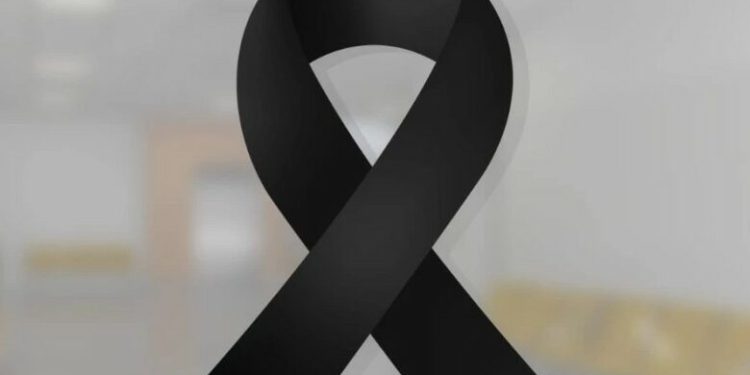 2 წლის ბავშვი პიტბულის თავდასხმის შედეგად დაიღუპა