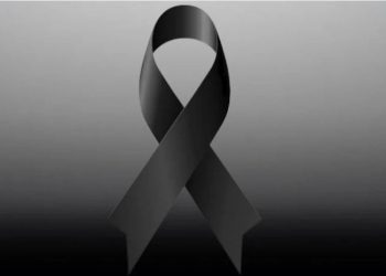 ,,ოჯახის წევრებს ტელეფონით ესაუბრებოდა, როცა…“ – ამერიკაში ქართველი ემიგრანტი გარდაიცვალა