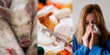სიმპტომები, რომლებიც ღორის გრიპს ახასიათებს და უყურადღებოდ არ უნდა დატოვოთ