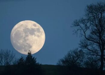 სამსემთვარეობა ახლოვდება – როდის არის და რას უმზადებს ეს დღე ზოდიაქოს ნიშნებს?