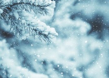 „ღამით მოთოვს…“ – განახლებული ამინდის პროგნოზი