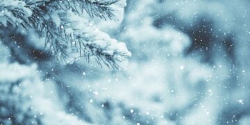 „ღამით მოთოვს…“ – განახლებული ამინდის პროგნოზი