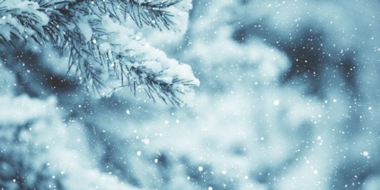 „ღამით მოთოვს…“ – განახლებული ამინდის პროგნოზი