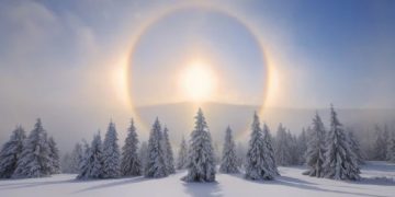 21 დეკემბერს ზამთრის მზებუდობაა – რა უნდა გააკეთოთ იმისათვის, რომ წარმატება მოიზიდოთ