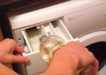 რატომ ასხამენ სარეცხის მანქანაში თეთრ ძმარს? – ეს ყველა დიასახლისმა უნდა იცოდეს