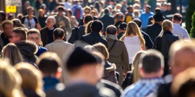 26 იანვრიდან კანონში ცვლილებები შედის! – ვის შეეხება ახალი რეგულაცია?