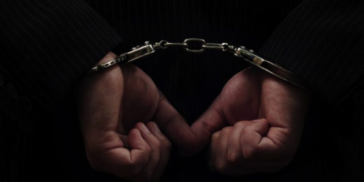 დააკავეს ,,ოცნების” კიდევ ერთი ყოფილი თანამდებობის პირი!