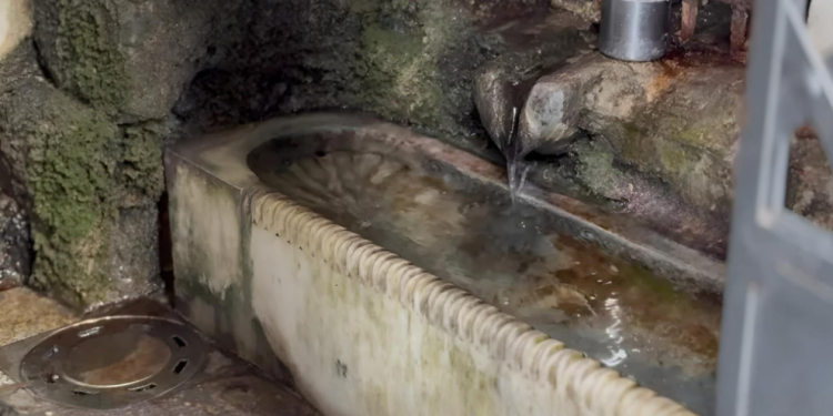 ,,სიმსივნეს, ასთმას, უნაყოფობას და კუჭ-ნაწლავის პრობლემებს კურნავს” – სად არის საიდუმლო ადგილი თბილისში, , რომლის შესახებაც ბევრმა არ იცის!