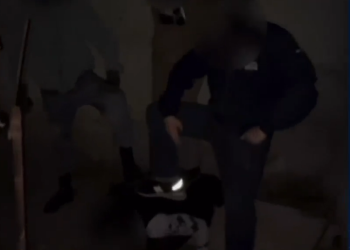 (VIDEO) საქართველოში რადიკალური ფაშისტური დაჯგუფების 16 წევრი დააკავეს – ვერ წარმოიდგენთ, რას შვებოდნენ თურმე ისინი