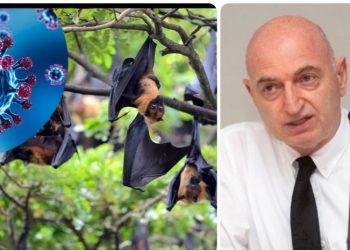 „იწყება როგორც გრიპი, შემდეგ წინა პლანზე გამოდის თავის ტვინის დაზიანება“ – რა სიმპტომები ახასიათებს „ნიპაჰის“ ვირუსს და უნდა ველოდოთ თუ არა მას საქართველოში?