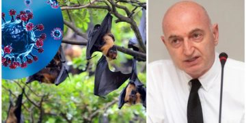 „იწყება როგორც გრიპი, შემდეგ წინა პლანზე გამოდის თავის ტვინის დაზიანება“ – რა სიმპტომები ახასიათებს „ნიპაჰის“ ვირუსს და უნდა ველოდოთ თუ არა მას საქართველოში?