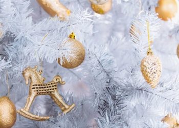 რატომ იშლება ნაძვის ხე ნათლისღების დღესასწაულამდე – ეკლესიის განმარტება