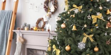 როდის უნდა ავიღოთ ნაძვის ხე – ნათლისღებამდე თუ შემდეგ და რატომ არის სწორი თარიღის შერჩევა საჭირო?