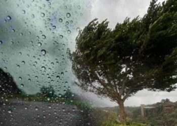 2 თებერვლის ამინდის პროგნოზი ქალაქების მიხედვით